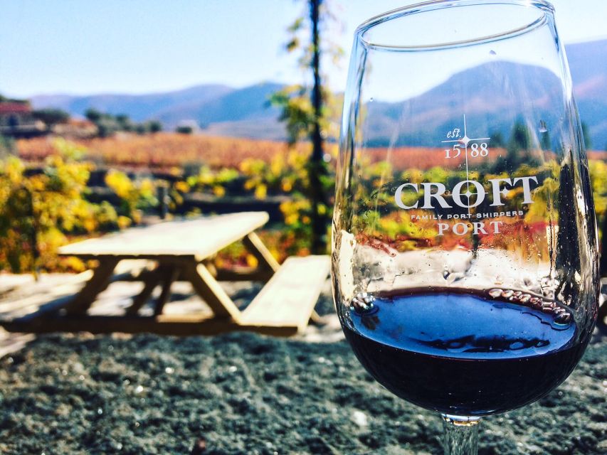 From Porto: Douro Valley w/ Boat Tour, Wine Tasting & Lunch - Group size, guides, and the tour mood