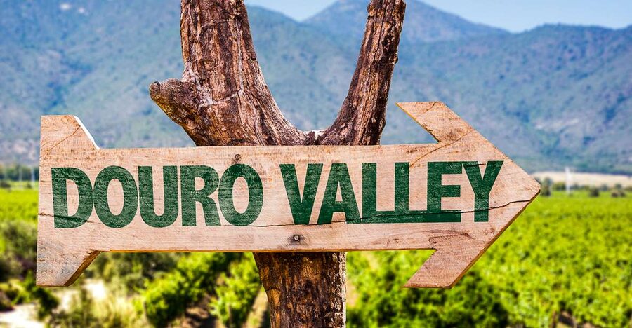 From Porto: Douro Valley w/ Boat Tour, Wine Tasting & Lunch - A one-hour cruise from Pinhão
