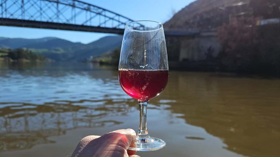 From Porto: Douro Valley Wine Tasting Tour With Hotel Pickup - Why this Douro Valley day works well from Porto