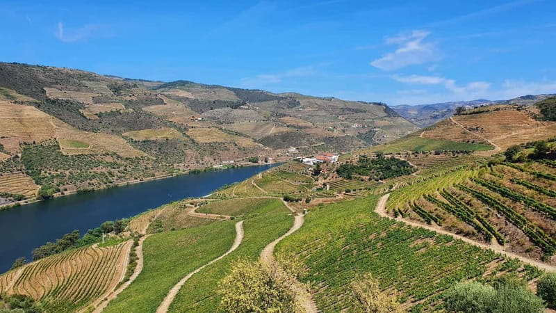 From Porto: Douro Valley Wine Tasting Tour With Hotel Pickup - Sabrosa brings the regional lunch