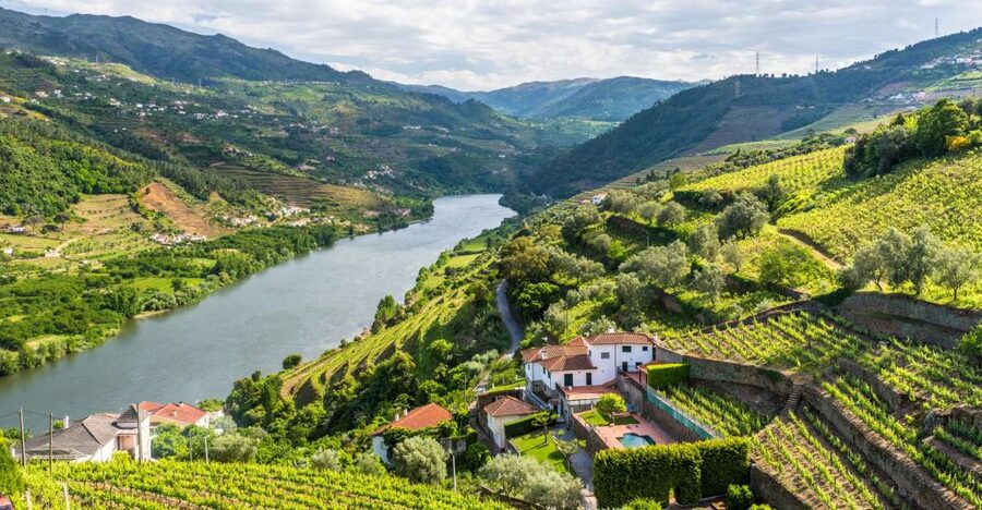From Porto: Full-Day Douro Historical Tour - From Porto to Amarante by small bus
