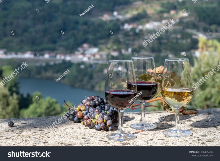 From Porto: Full-Day Douro Historical Tour - Port tasting in the Douro Valley