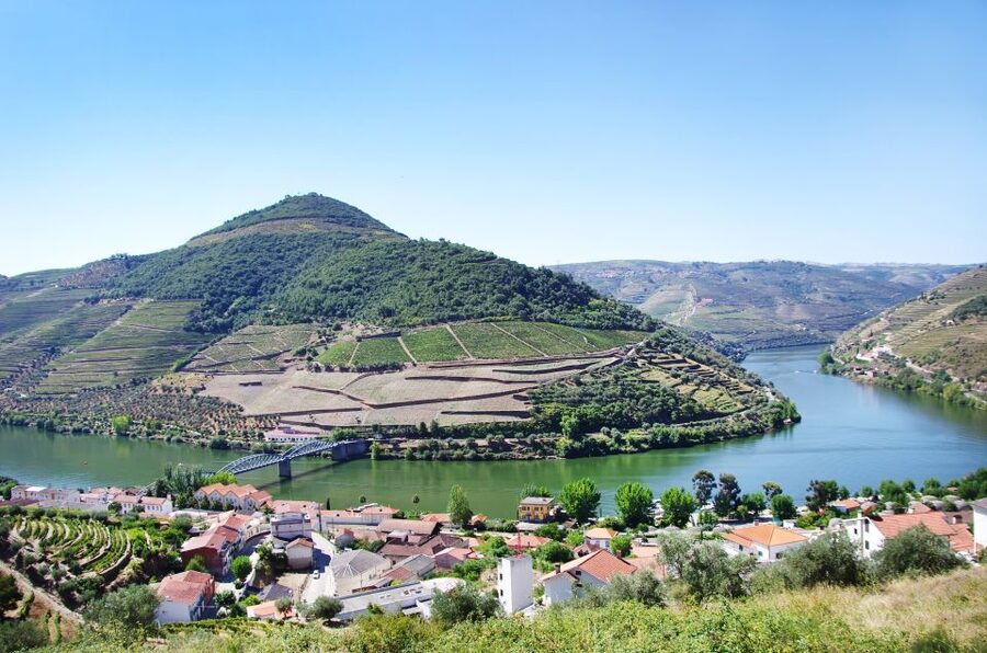 From Porto: Full-Day Douro Historical Tour - Pinhão and the scenic river cruise