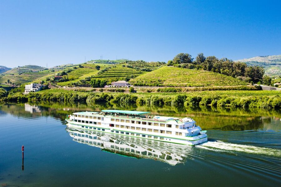 From Porto: Full-Day Douro Historical Tour - The return to Porto takes about 90 minutes