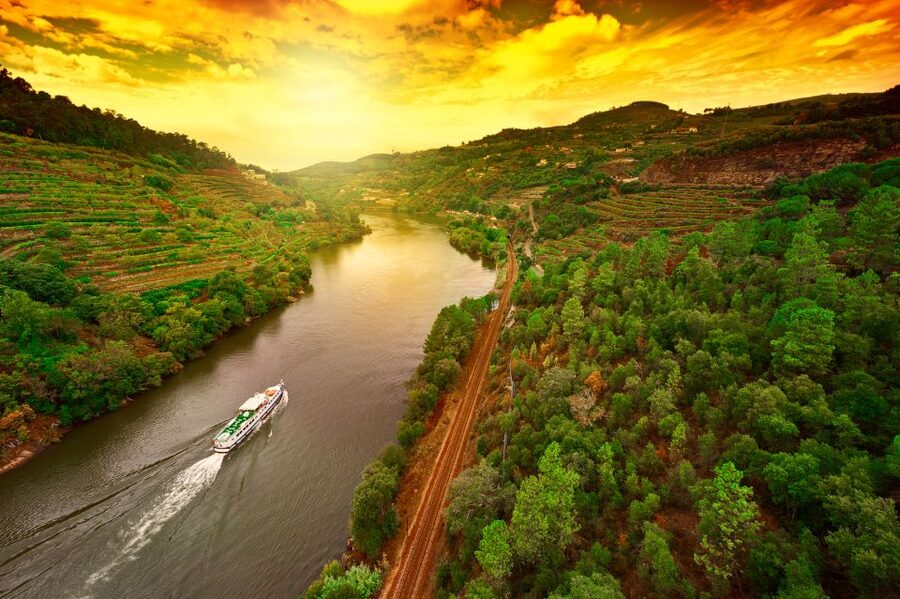 From Porto: Full-Day Douro Historical Tour - What the $104 price really covers