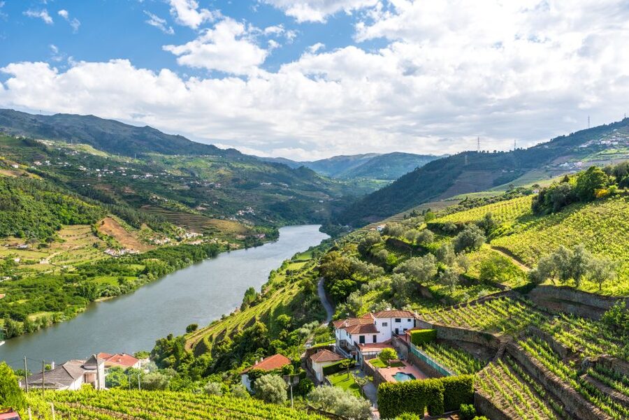 From Porto: Full-Day Douro Historical Tour - The first Douro views arrive after lunch