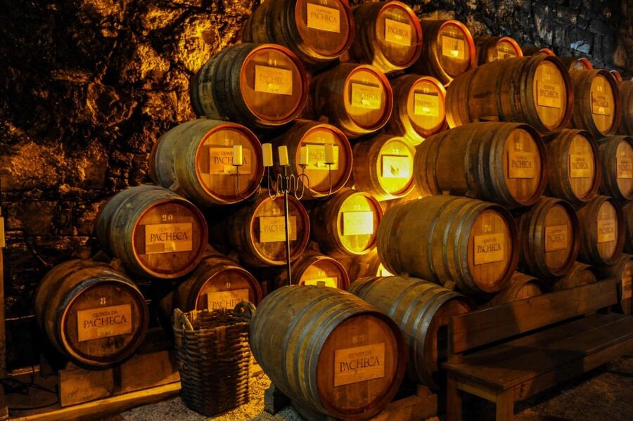 From Porto: Full-Day Douro Valley Trip - Who will get the most from this $88 tour
