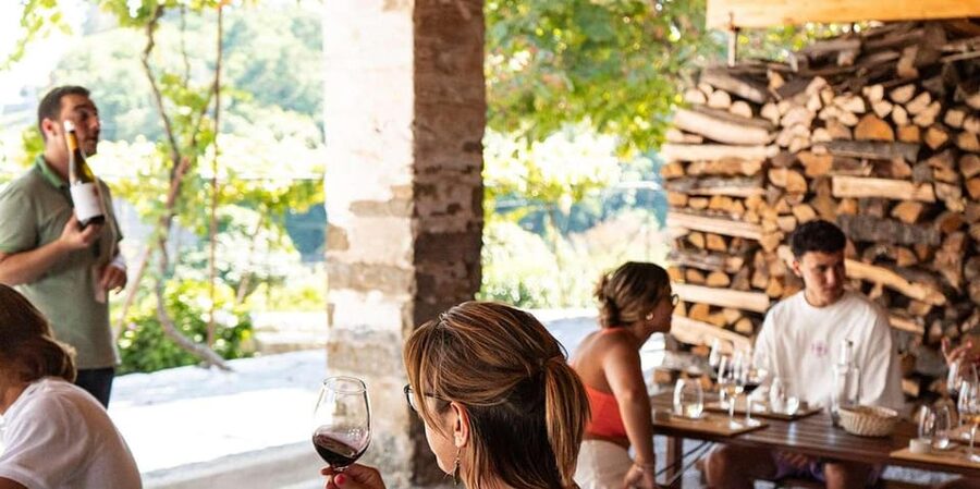 From Porto: Full-Day Douro Valley Trip - A wine-paired lunch in a Douro cellar