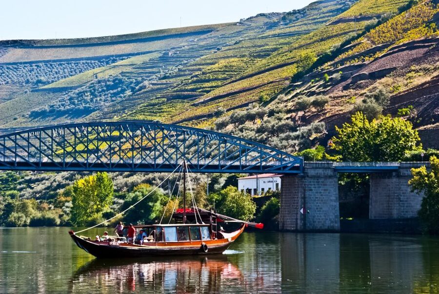 From Porto: Full-Day Douro Valley Trip - The N222 road and the valley views