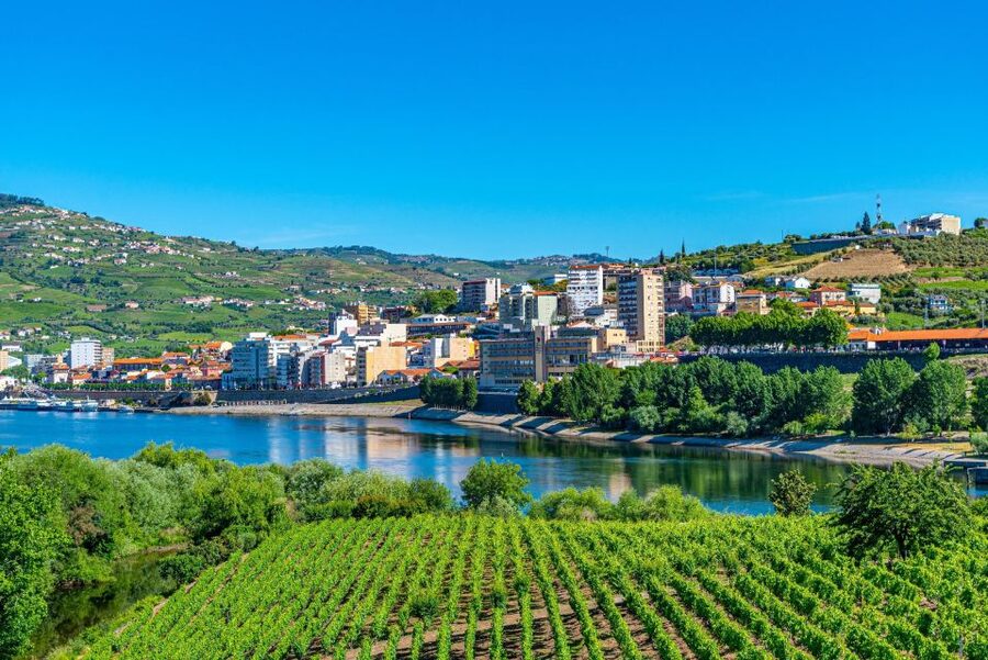 From Porto: Full-Day Douro Valley Trip - How the guides shape the day