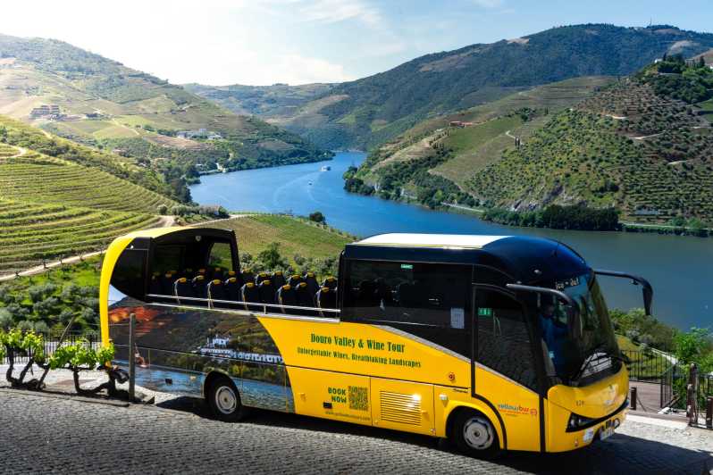From Porto: Full-Day Douro Valley & Wine Tour with Lunch - Who will get the most from this outing