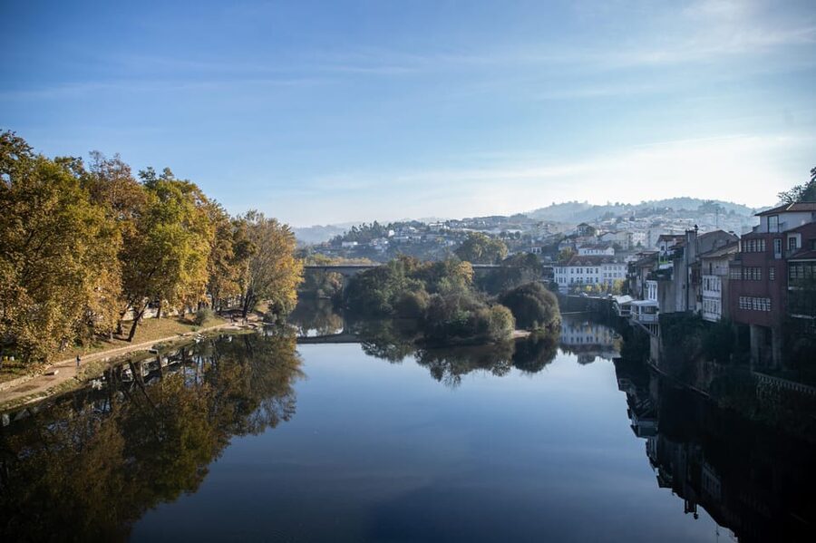 From Porto: Full-Day Douro Valley & Wine Tour with Lunch - Lunch at a traditional wine estate