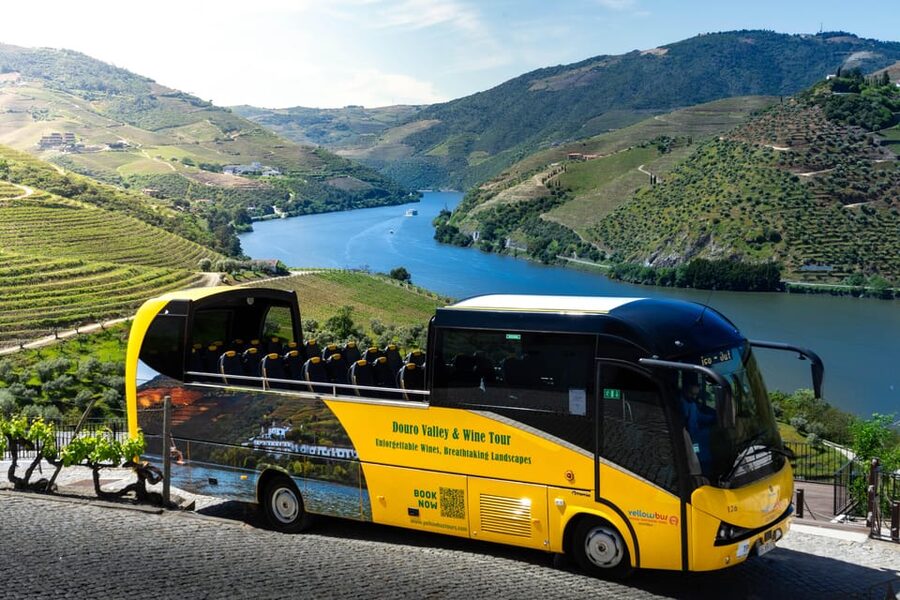From Porto: Full-Day Douro Valley & Wine Tour with Lunch - Understanding Port at Quinta São Luiz