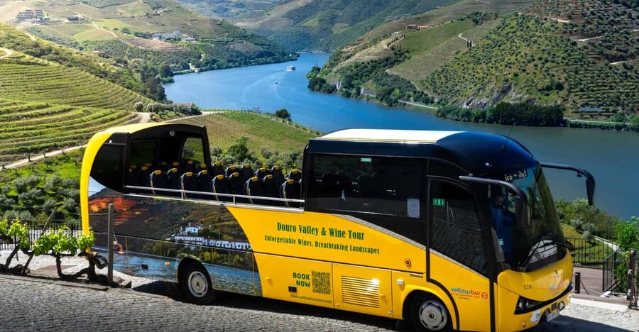 From Porto: Full-Day Douro Valley & Wine Tour with Lunch - Starting near Igreja da Lapa