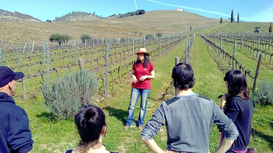From Porto: Premium Douro Valley 4 Vineyards Tour with Lunch - Why this Douro day works well from Porto
