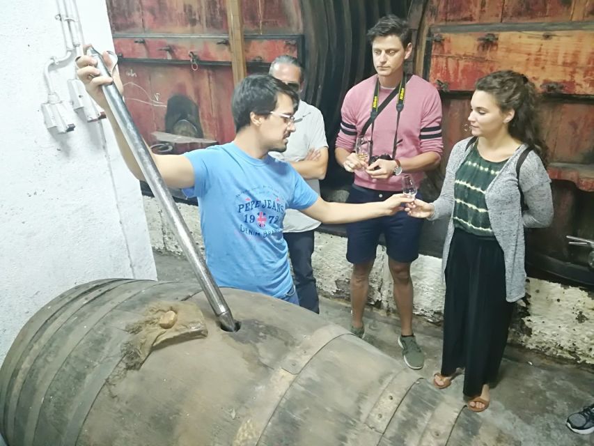From Porto: Premium Douro Valley 4 Vineyards Tour with Lunch - The older producer and its olive oils