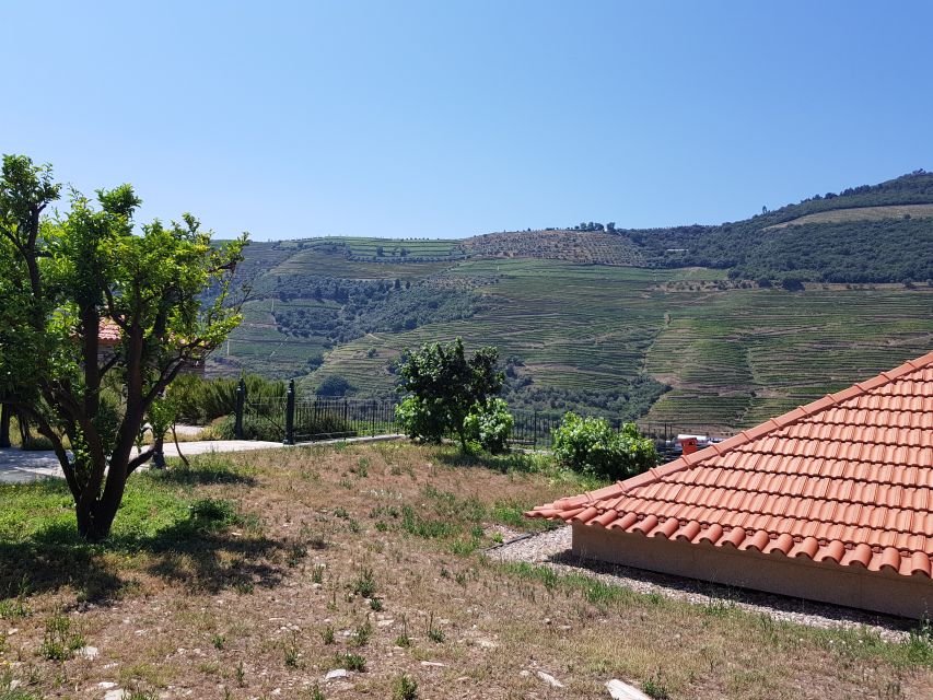 From Porto: Premium Douro Valley 4 Vineyards Tour with Lunch - Lunch at a working wine estate
