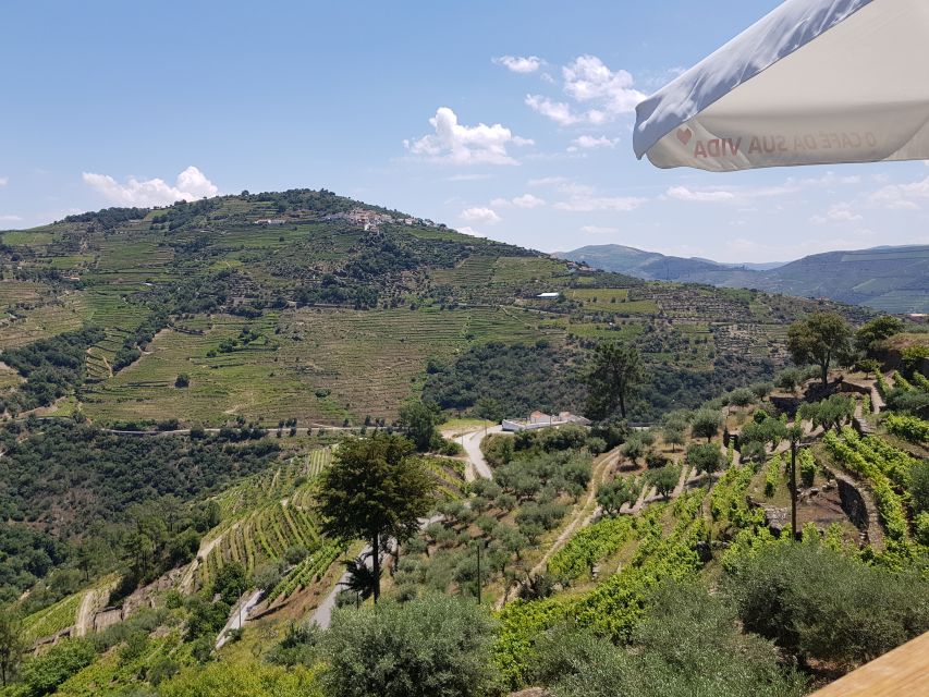 From Porto: Premium Douro Valley 4 Vineyards Tour with Lunch - The N222 and the final vineyard