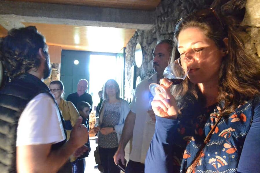 From Porto: Premium Douro Valley 4 Vineyards Tour with Lunch - What the guides add to the day