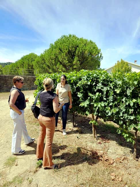 From Porto: Premium Douro Valley 4 Vineyards Tour with Lunch - Leaving Porto for the Douro Valley