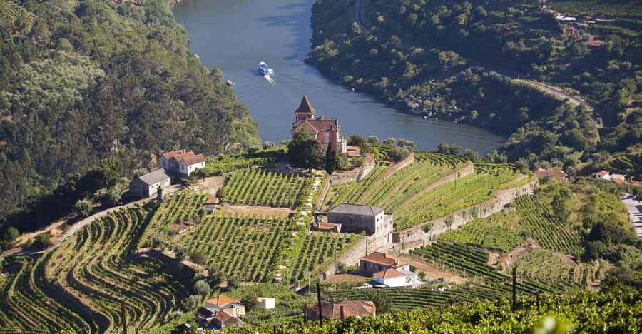 From Porto: Premium Douro Valley Small-Group Wine Tour - The first winery: how Douro wine is made