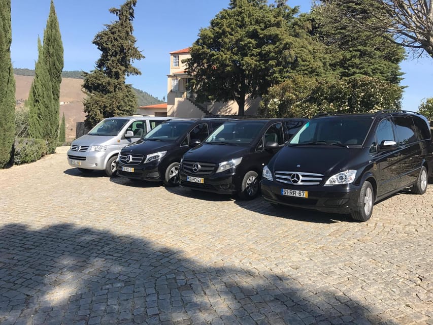 From Porto: Premium Douro Valley Small-Group Wine Tour - The winding road is the tradeoff