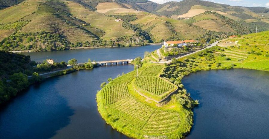 From Porto: Private Douro Valley Tour with Booking Service - Why the Douro Valley makes a strong day trip from Porto