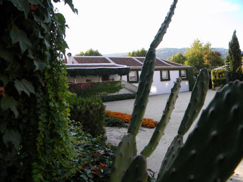 From Porto: Private Douro Valley Tour with Booking Service - Pinhão gives you the most choice
