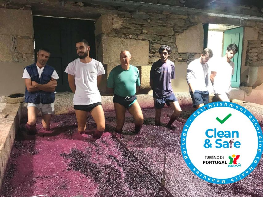 From Porto: Private Douro Valley Tour with Cruise and Wine - Who should choose this Douro Valley experience?