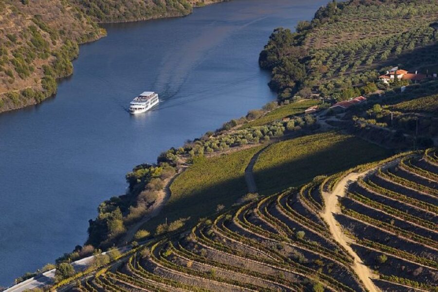 From Porto: Régua to Porto River Cruise with Lunch on Board - Key points to know before booking