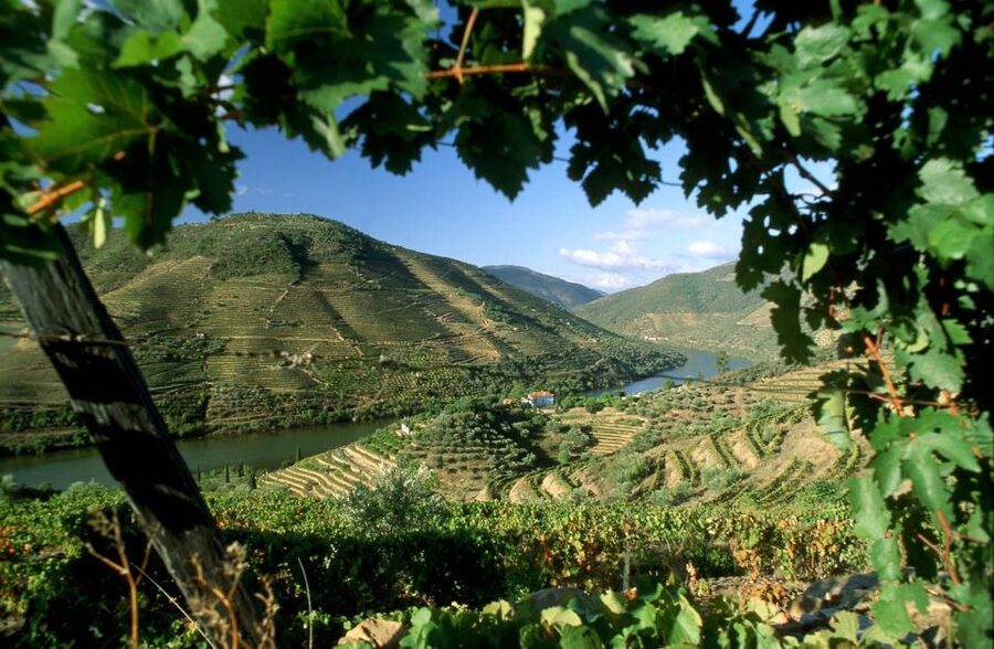 From Porto: Régua to Porto River Cruise with Lunch on Board - Why the Régua to Porto direction works so well