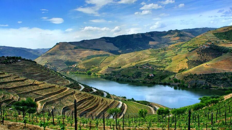 From Porto: Régua to Porto River Cruise with Lunch on Board - Régua and the Douro wine country