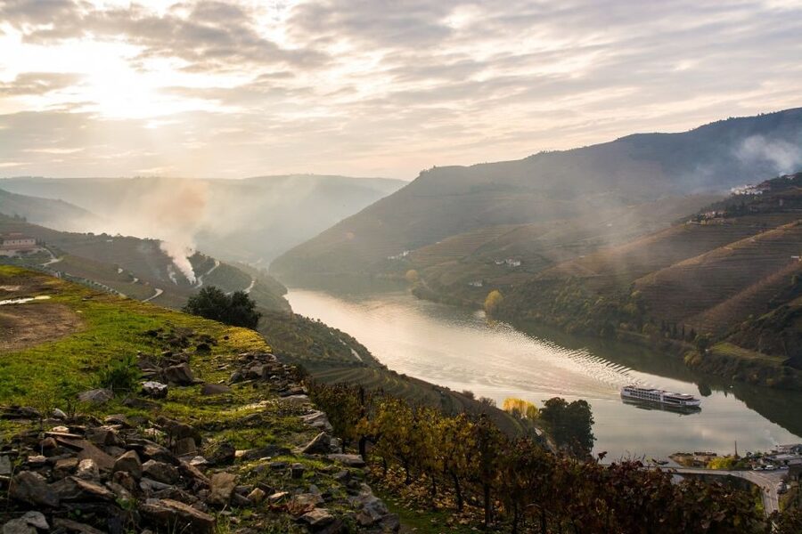 From Porto: Régua to Porto River Cruise with Lunch on Board - Who should book this Douro Valley day?