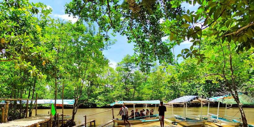 From Puerto Princesa: Underground River Guided Day Trip - Forest, wildlife, and the mountain-to-sea setting