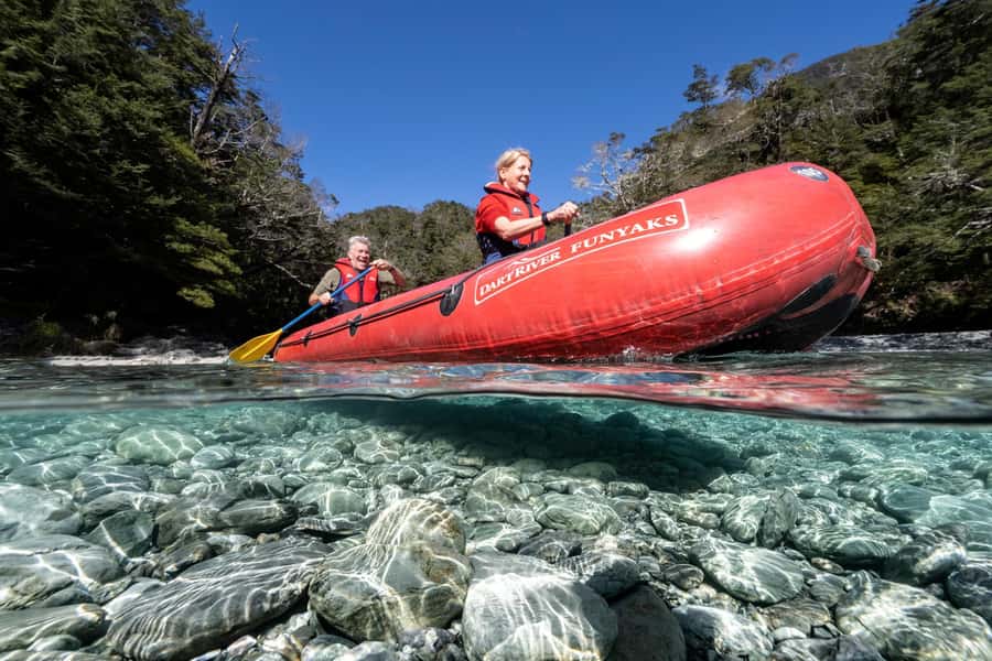 From Queenstown: Dart River Canoe & Jet Boat Day Trip - The one-hour Dart River jet boat ride
