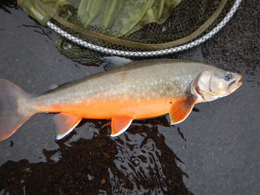 From Reykjavik: Lake and River Fishing Tour - Wind, rain, and the Iceland factor