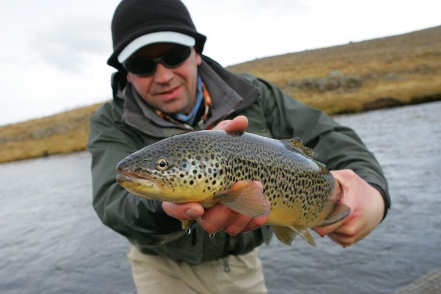 From Reykjavik: Lake and River Fishing Tour - Five to six hours with a rod in your hands