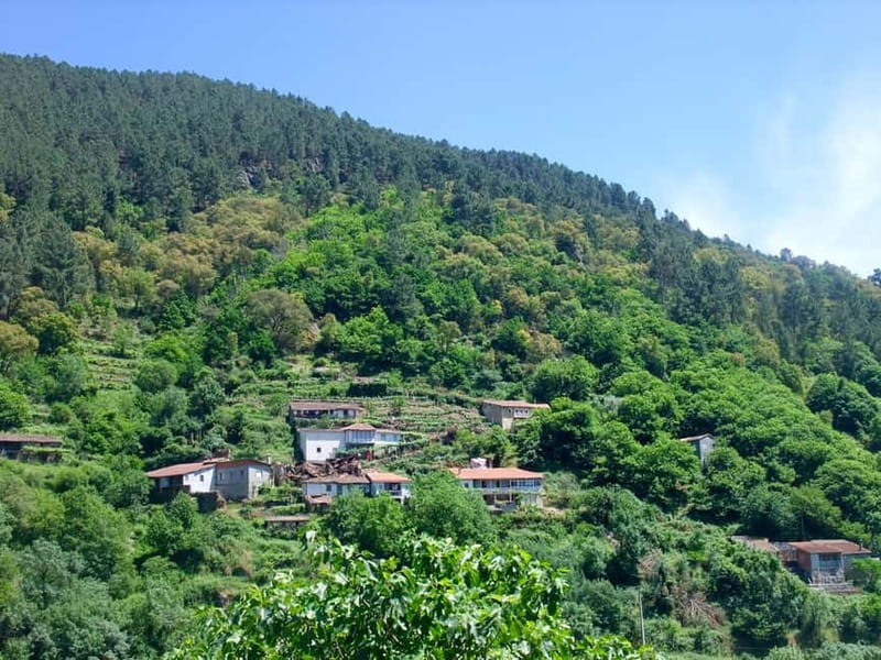 From Santiago: Ribeira Sacra & Sil River Canyon Boat Tour - Allariz, a medieval town with breathing room