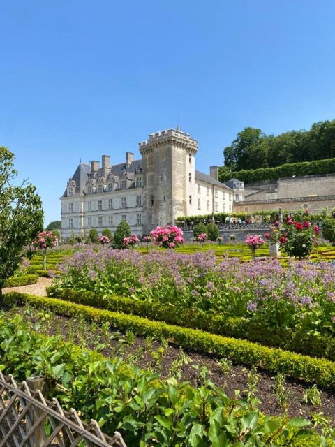 From Tours: Afternoon Loire Valley Wine Tour - What you’ll find at the Amboise tasting