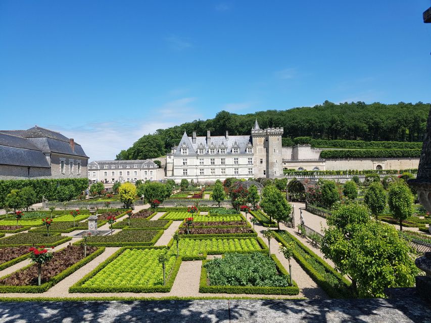 From Tours: Afternoon Loire Valley Wine Tour - Should you book the Afternoon Loire Valley Wine Tour?