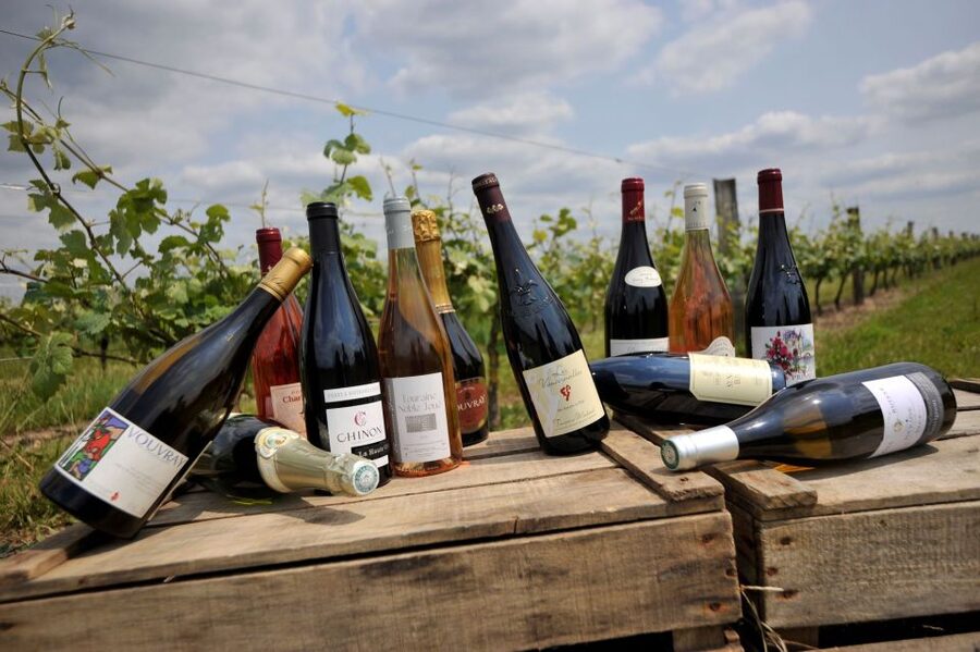 From Tours: Loire Valley Wineries Day Trip with Tastings - Should you book the Bourgueil and Chinon wine day?