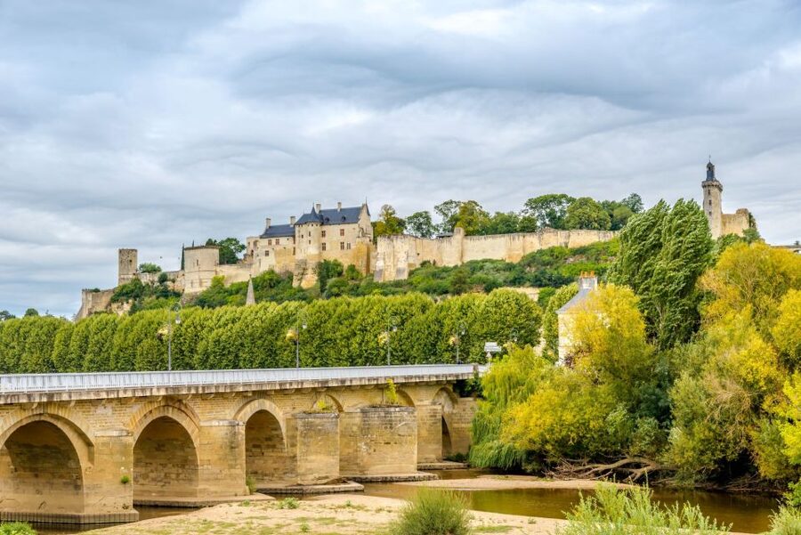 From Tours: Loire Valley Wineries Day Trip with Tastings - Who will enjoy this Loire Valley outing?