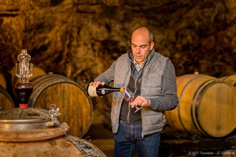From Tours or Amboise: Loire Valley Wine Tour - Two Touraine estates, two different ways to understand wine