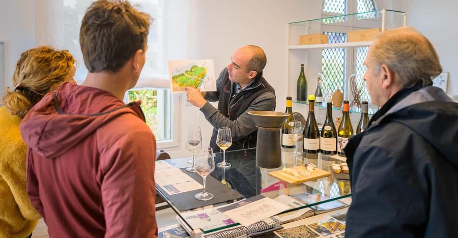 From Tours or Amboise: Loire Valley Wine Tour - The vineyard walk and the first tasting