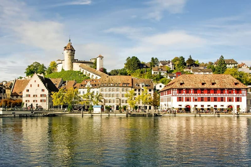 From Zurich: Rhine Falls Coach Tour with Entry Tickets - Why Rhine Falls works so well as a half-day trip