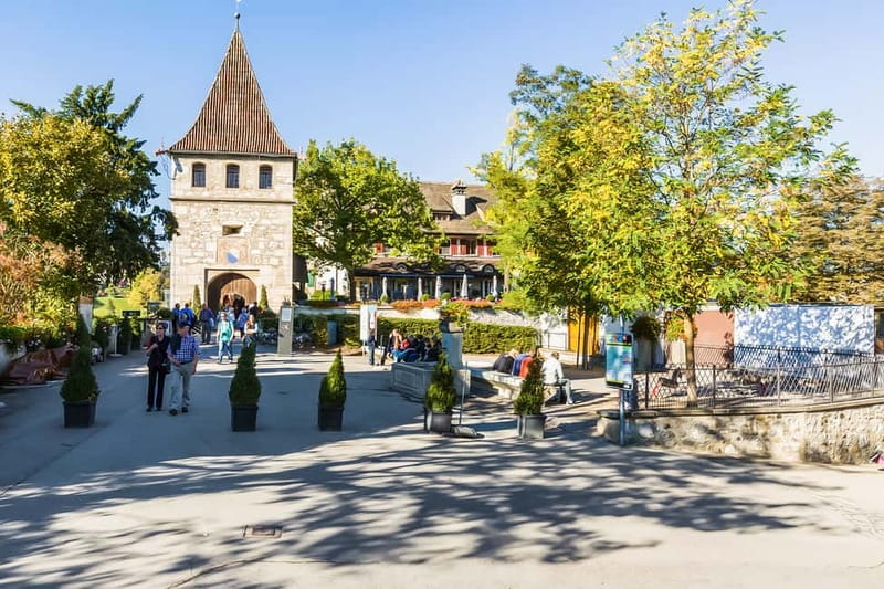From Zurich: Rhine Falls Coach Tour with Entry Tickets - Arriving at Laufen Castle and Rhine Falls