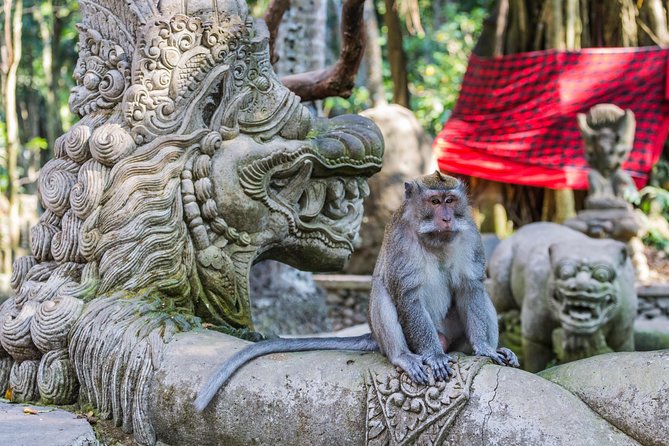 Full-Day Ayung River White Water Rafting and Ubud Tour - Ending at Tegenungan Waterfall