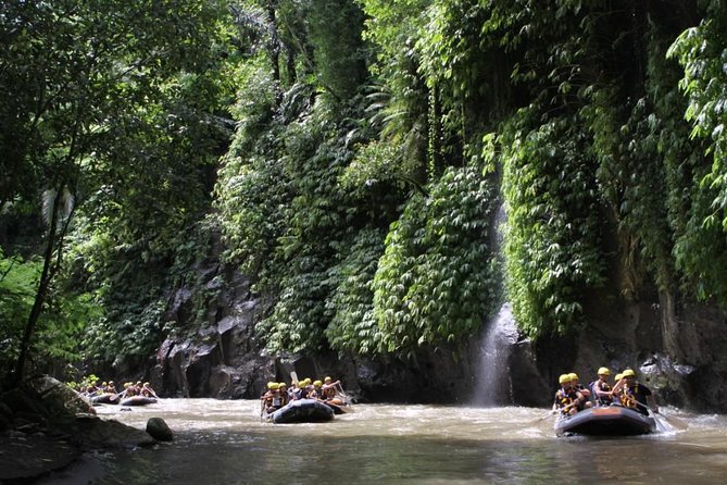 Full-Day Ayung River White Water Rafting and Ubud Tour - What the $45 Price Really Covers