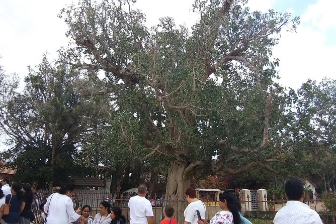Full-Day Bethlehem, Jericho, and Jordan River Tour - Ancient Jericho and Tell es-Sultan