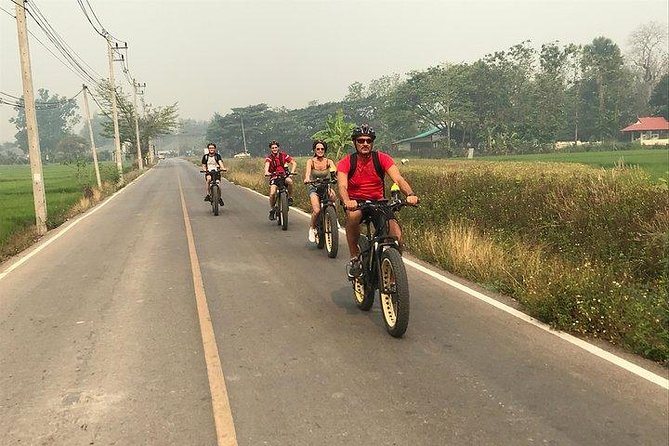 Full-day E-bike Countryside and Nam Phrae (flat-hilly, GUIDED) - The e-bike advantage on the flat-hilly route
